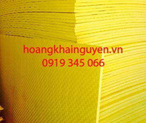 Mút eva xốp lót sàn sân thi đấu 