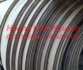 Cao su có lớp bố vải bình dương