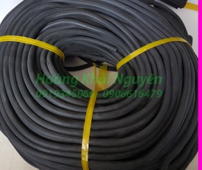 Ron cao su kỹ thuật quận 10